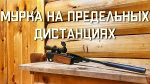 МР 512 стрельба на сверхдальние дистанции из пневматической винтовки