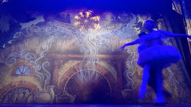 Кода Па-де-де Спящая красавица - балерина Маргарита Андреева