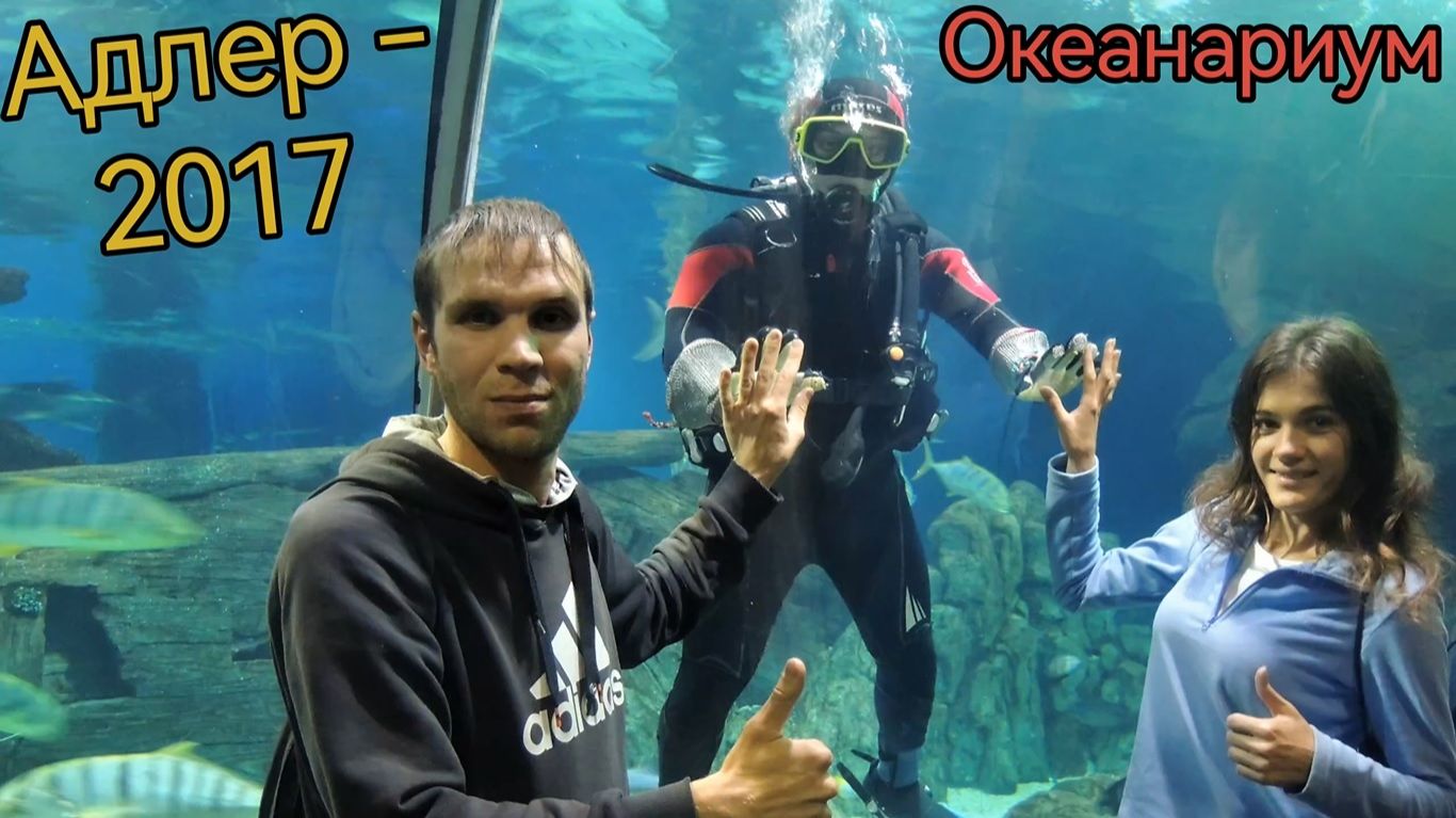 Краснодарский край. Адлер. Океанариум.
