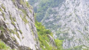 Красивая природа Абхазии в картинках