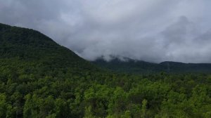 Самогонщики 13 сезон 7 серия (реалити-шоу, 2024)