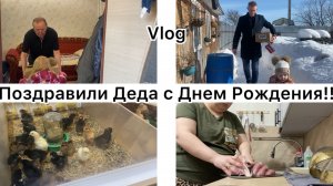 Влог. Купили несушек // Готовлю мясо в духовке // Поздравили Деда с ДР //