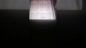 Египтоид. Побег из гробницы.