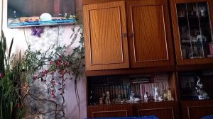 22 марта 2026. Приезжала Надина сестра...