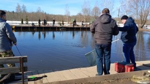 ловля форели,форелевая рыбалка РК "Фишка" Петряиха