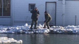 поимка форели на спиннинг