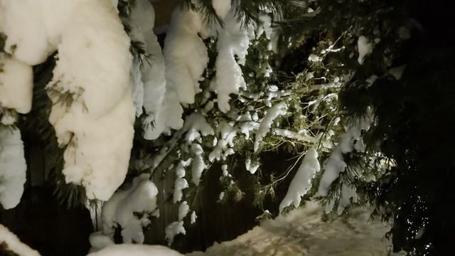 Зима 2026 год