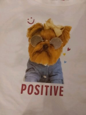 ваши любимые Даня и Боня хомяки