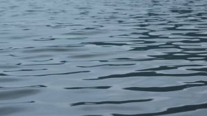 Звуки природы // Звуки моря. Крики чаек. Спокойствие и умиротворение