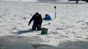 поимка форели на жерлицу