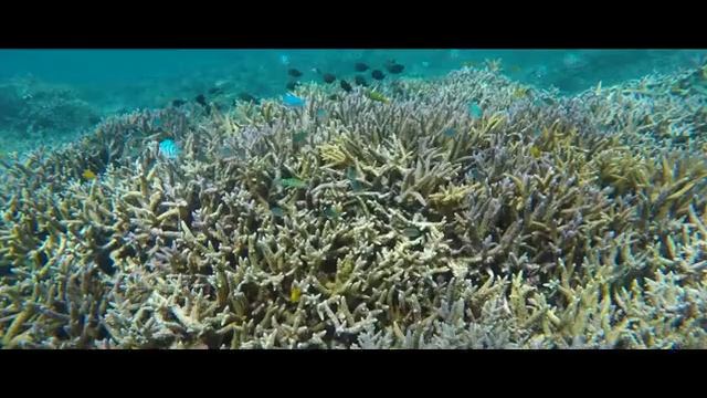 Cамый простой способ пить биодоступную  воду