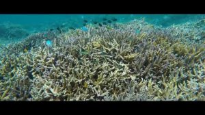 Cамый простой способ пить биодоступную  воду