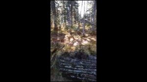 Британец в сибири