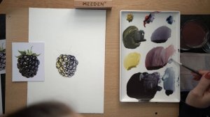 Как нарисовать акварелью ежевику, используя всего три основных цвета 🎨