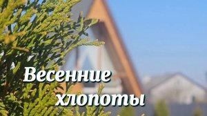 ЗАВЕЛИ ПТИЦУ. ЗАПОЛНЯЕМ участок новыми ДЕРЕВЬЯМИ.