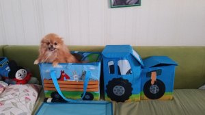 сборник видео эксклюзивный для рутуба