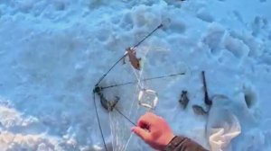 Не думал что попаду на такую рыбалку!!! Они попадались один за другим!!!