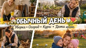 Уборка в доме, виноград, лук, куры и любимая работа.