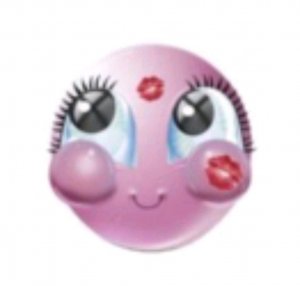 полига полинома