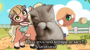 Май пони, май хорс😋💐Колаб с женой+бесмыслица🫨
