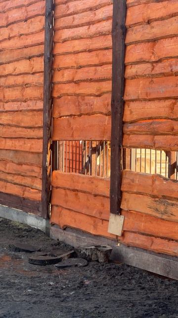 Не,ну ты видел какая…деловая