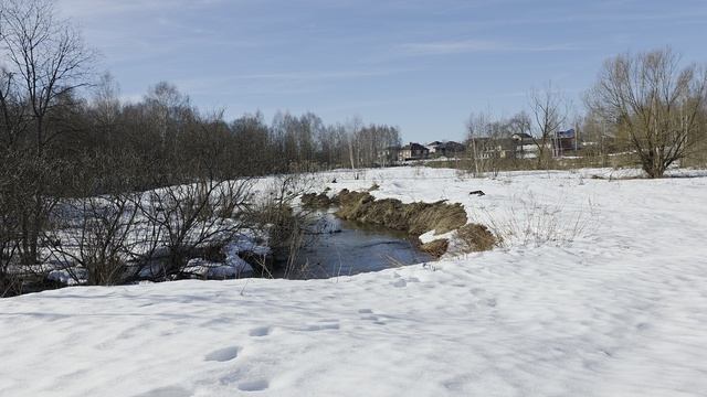 Samsung S25 Ultra (3)