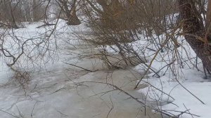 аэрация пруда