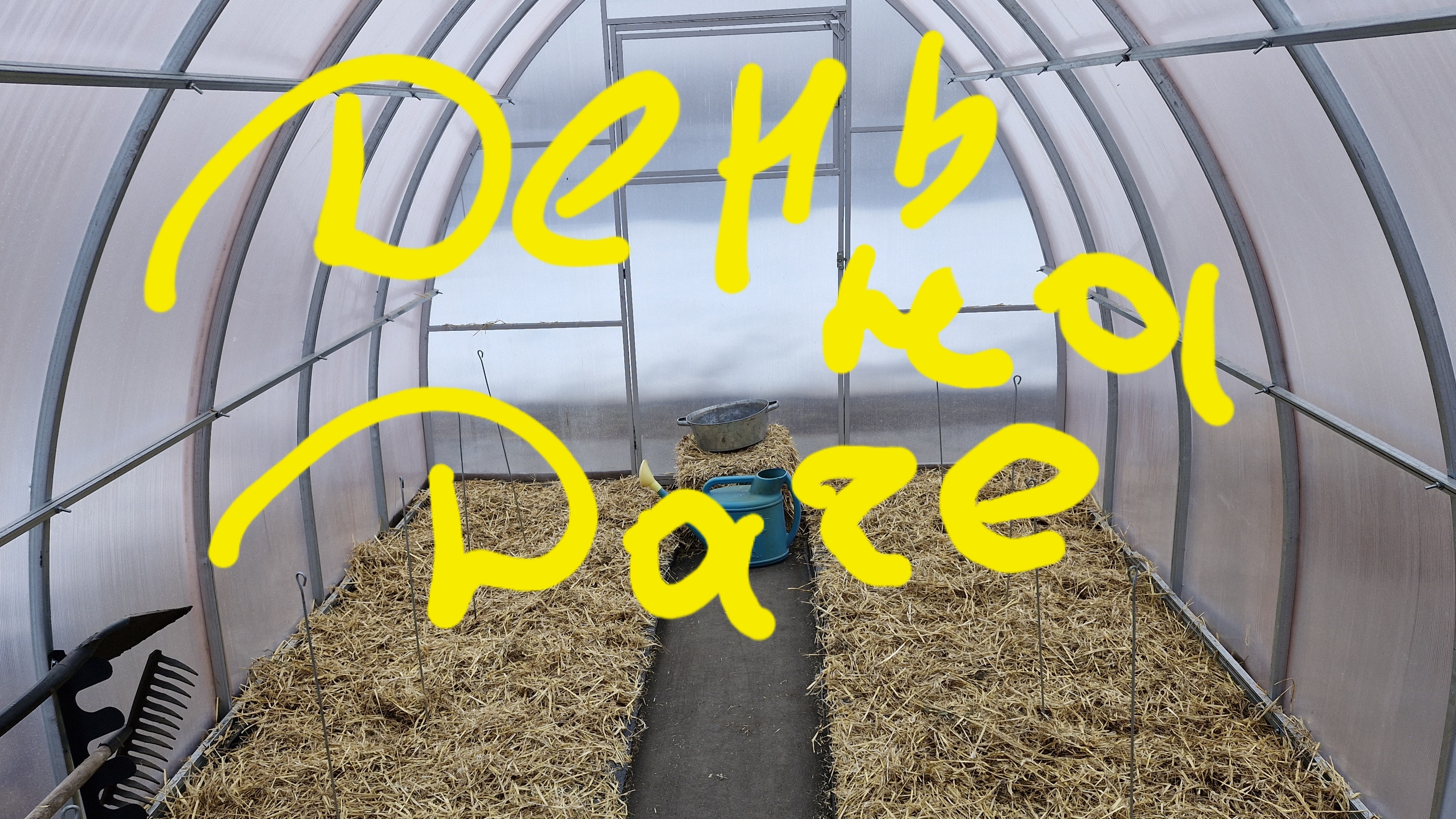 День из жизни дачника