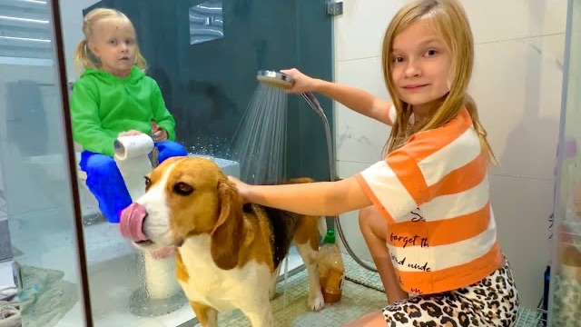 СОФУНЬЯ ШАЛУНЬЯ - СОФИЯ И НИКА ЗАБРАЛИ СОБАКУ С УЛИЦЫ.