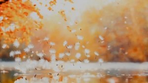 Дверь оставлю открытой...