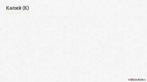 Общие сведения о питании и приготовлении пищи