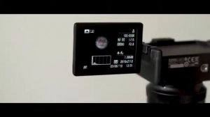 Словенский институт Bion исследовал воду с Coral Mine