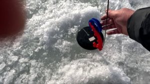 РЫБАЛКА В МАРТЕ 2026