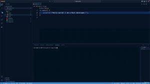 20. The cargo check Command