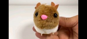 мир моими глазами