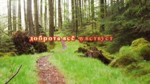 Душа.Она без паспорта взрослеет...Автор слов Татьяна Григорьева