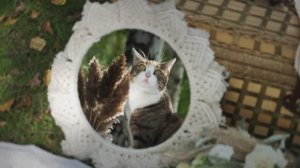 Дима и Настя превью