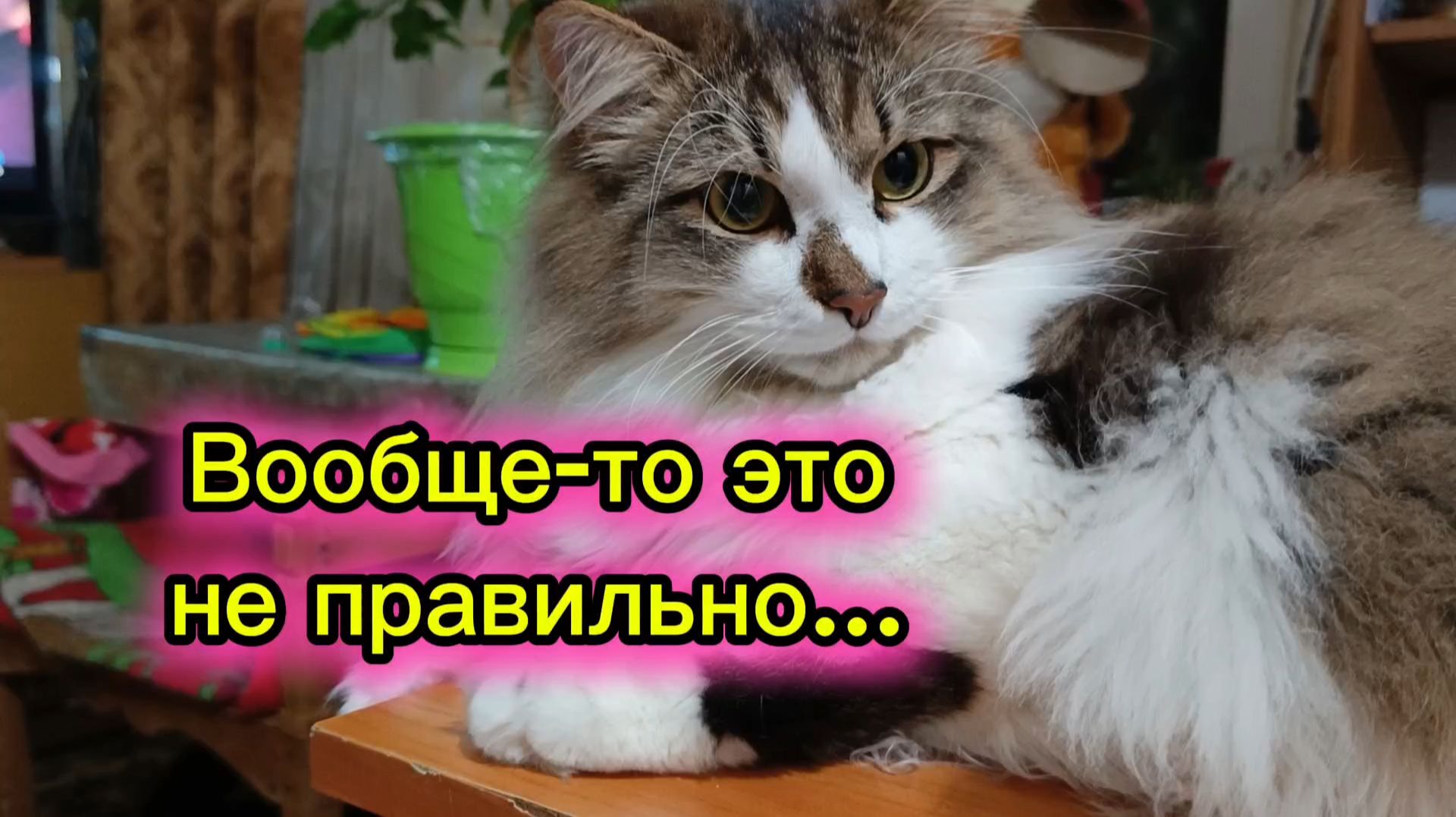 ВООБЩЕ-ТО ЭТО НЕПРАВИЛЬНО…