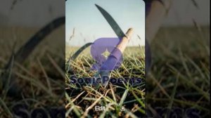 Сергей Есенин — Я иду долиной (вар1)