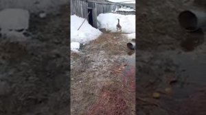 ПОМОЩЬ БЛИЖНЕМУ