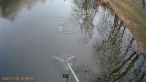 Саша Кассий и  Taifun Torzite Graphene 1-15