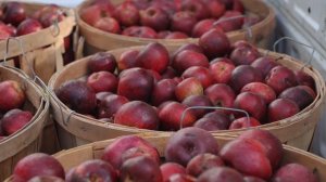 Самогонщики 13 сезон 9 серия (реалити-шоу, 2024)