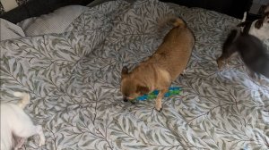 Доброго утра и легкого понедельника!