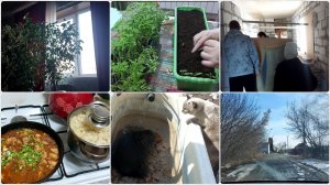 УТРО У РОДИТЕЛЕЙ | ПИКИРУЕМ ПОМИДОРЫ | ОСВОБОДИЛИ МЕСТО В ГАРАЖЕ | ДОЕХАЛИ В НЕ ПЛАНА ДО САДА | УЖИН