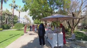 Сочи 8 марта 🔥Центр Сочи онлайн. Что происходит в Сочи весной?Навагинская, площадь Флага