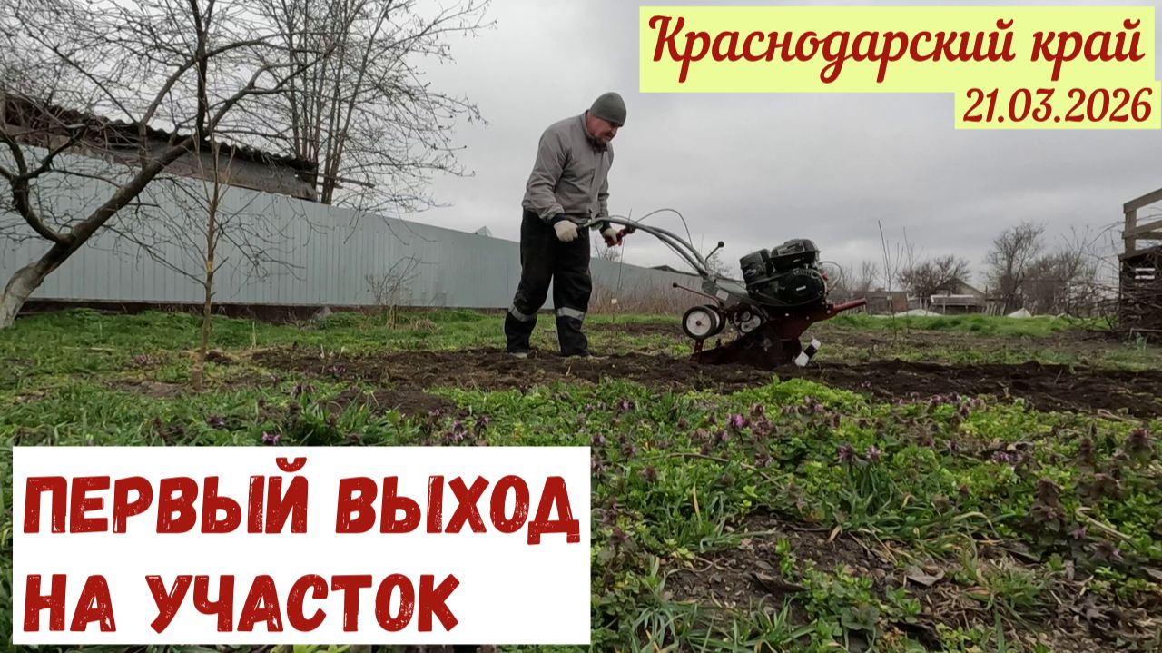 Первый выход на участок(21.03.26)