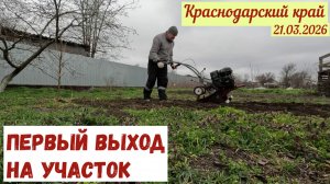 Первый выход на участок(21.03.26)