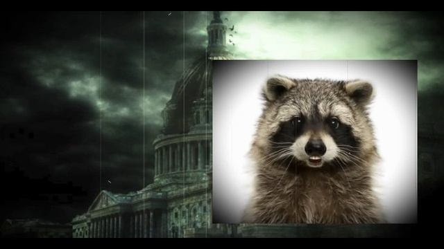 Думаю, новую рубрику откроем... 