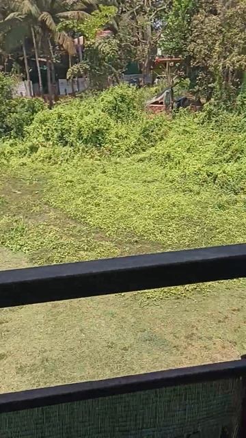 снял жильё на Гоа