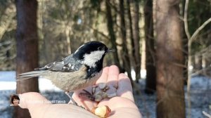 Экотерапия 75 серия.